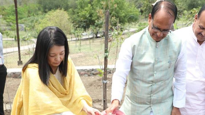 मुख्यमंत्री श्री चौहान के साथ यूनेस्को की सुश्री जुन्ही हॉन ने पौध-रोपण किया